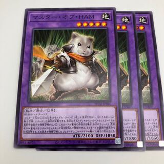 Master of HAM Normal PHNI-JP040