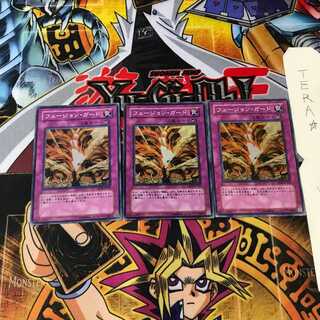 フュージョン・ガード DP04 4 スーパー 3枚セット てら