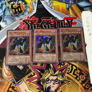 BF-Dawn's Sirocco CRMS 8 Super Set of 3 Tera