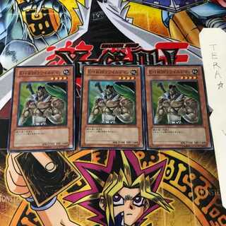 Elemental HERO Wildheart EE04 5 Super Set of 3 Tera