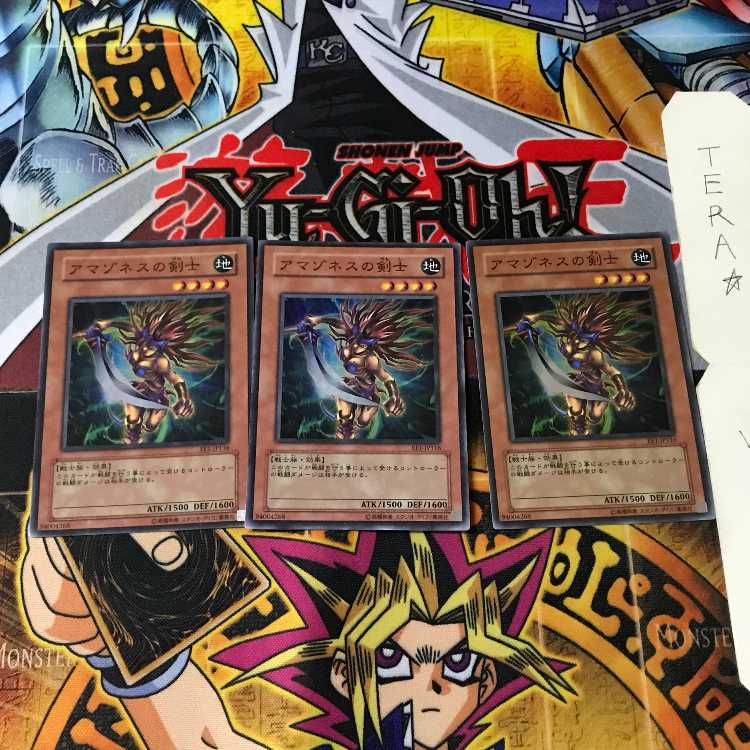 Amazoness Swords Woman EE1 5 Super Set of 3 Tera