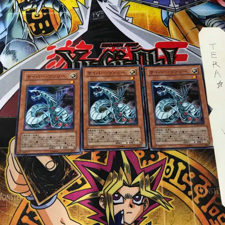 サイバー・ヴァリー PTDN 3 スーパー 3枚セット てら