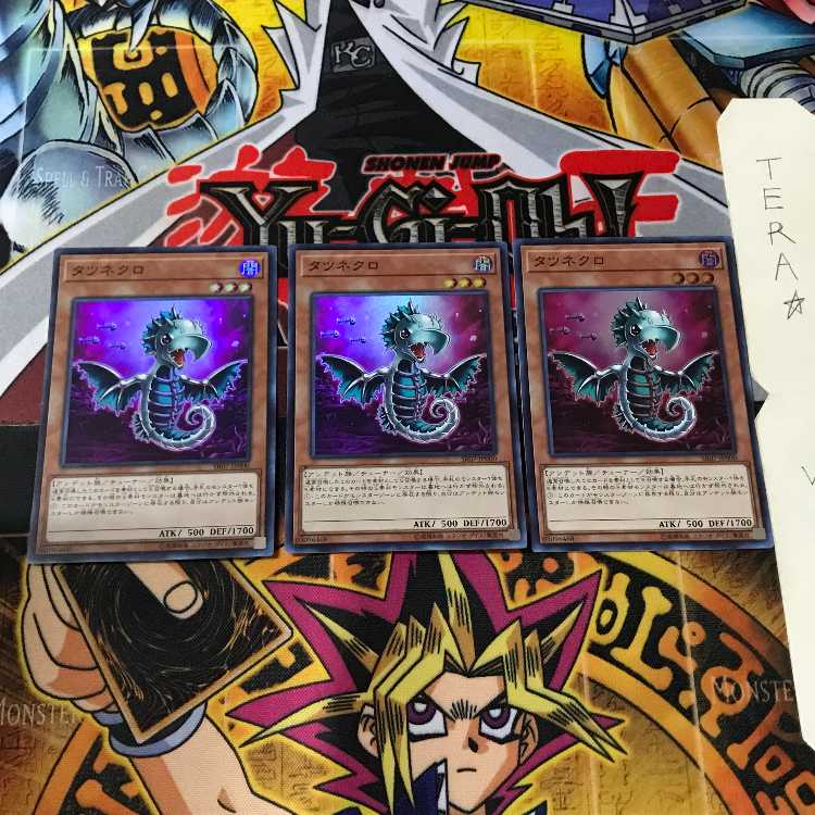 タツネクロ SR07 2 スーパー 3枚セット てら