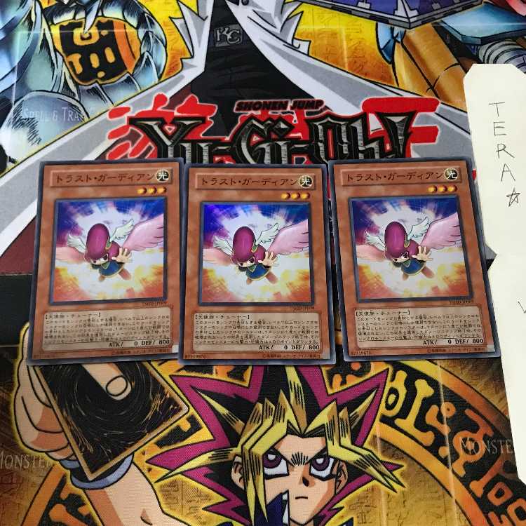 トラスト・ガーディアン TSHD 3 スーパー 3枚セット てら