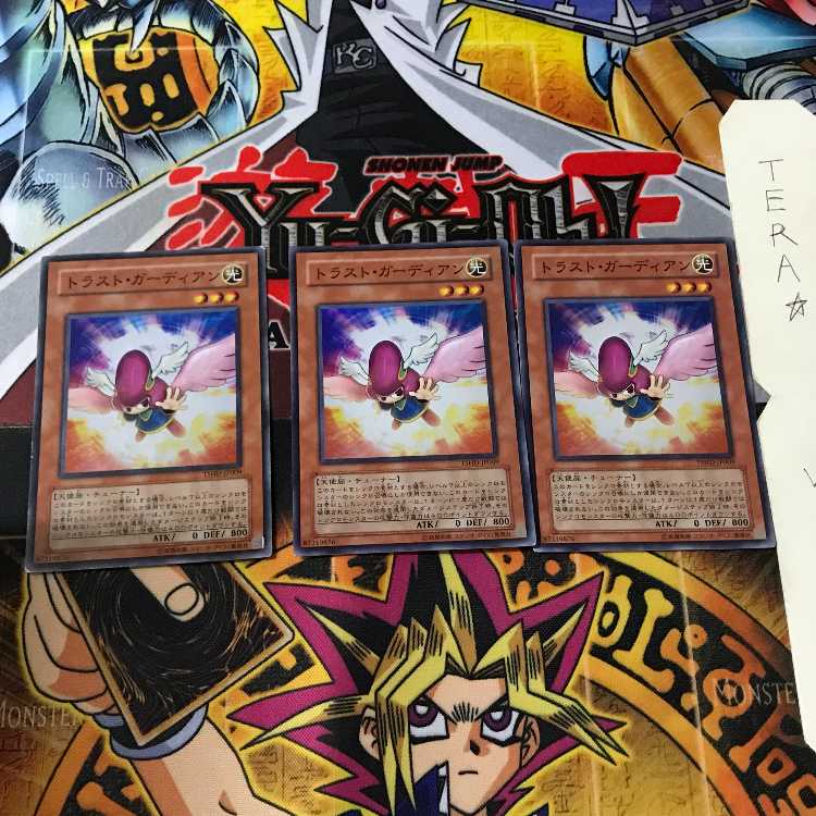 トラスト・ガーディアン TSHD 5 スーパー 3枚セット てら