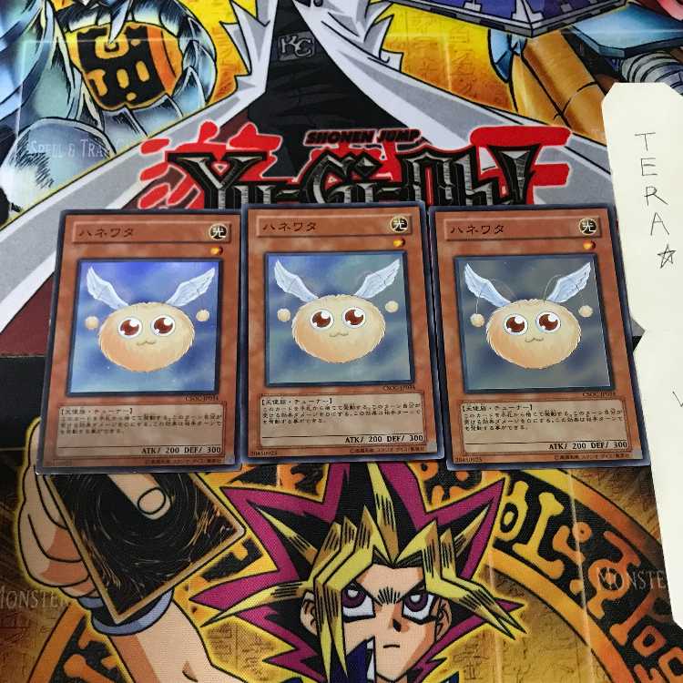 ハネワタ CSOC 2 スーパー 3枚セット てら