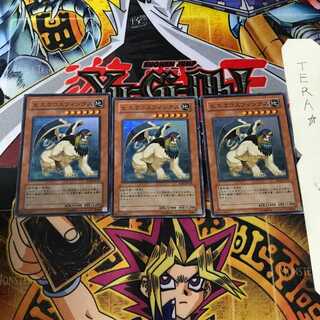 ヒエラコスフィンクス TLM 2 スーパー 3枚セット てら