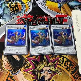 瑚之龍 RC02 1 スーパー 3枚セット てら