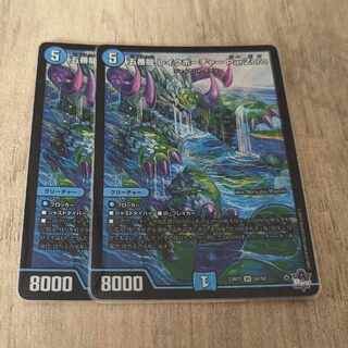 五番龍 レイクポーチャー ParZero SR S2/S8