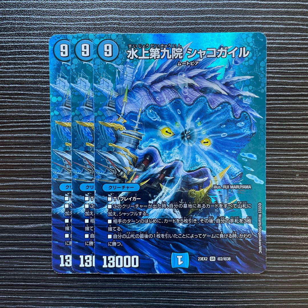 水上第九院 シャコガイル SR 超2/超38