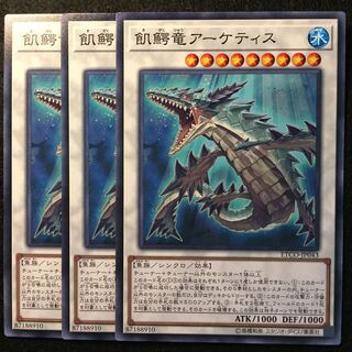 D-49 飢鰐竜アーケティス 3枚