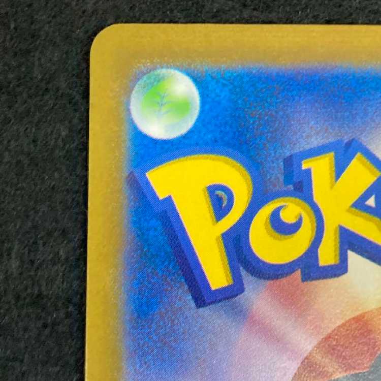 ヤドン マスターボールミラー ①