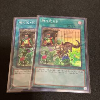 隣の芝刈り スーパーレア JP041 2枚　特価品