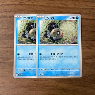 ヒンバス C 013/066