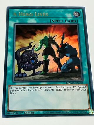 A Hero Lives English edition EU edition