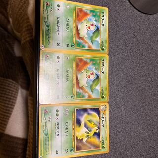 チコリータ/ベイリーフ/旧裏