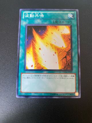 波動共鳴 ノーマル JP022