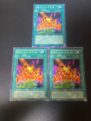 燃えさかる大地 ノーマル JP150