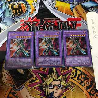 Psychic Mage Swordsman - Black Paladin LE5 3 Ultra Set of 3 Tera