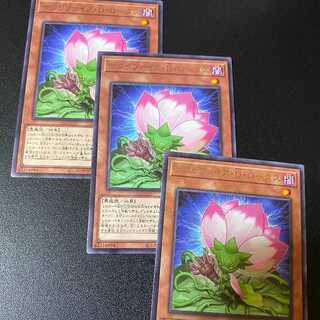 サクリファイス・D・ロータス3枚 遊戯王 OCG