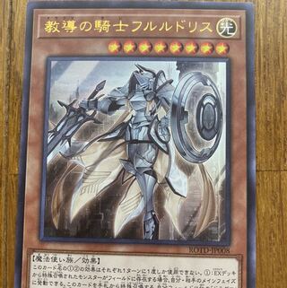 教導の騎士フルルドリス