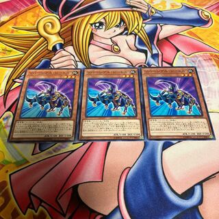 リバーシブル・ビートル ノーマル JP035