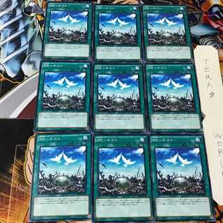 RR-ネスト SPWR 1 ノーマル 9枚セット てら