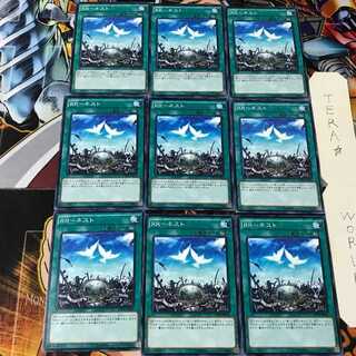 RR-ネスト SPWR 2 ノーマル 9枚セット てら