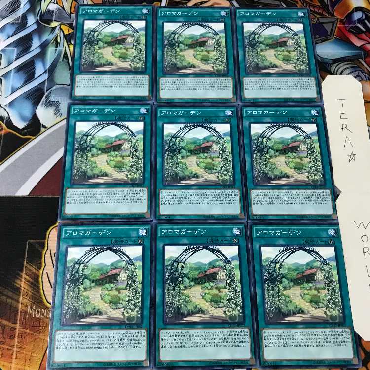 Aroma Garden CORE 1 Normal, set of 9 Tera