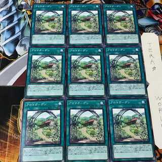 アロマガーデン LVP1 2 ノーマル 9枚セット てら