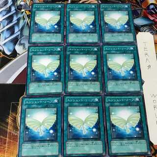 Ancient Leaf ANPR 1 Normal 9-card set Tera