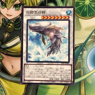 白闘気白鯨　ノーマル　1枚