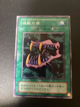 猛獣の歯　2期　ノーマル