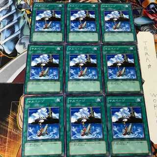 Salvage 307 1 Normal, set of 9 Tera.