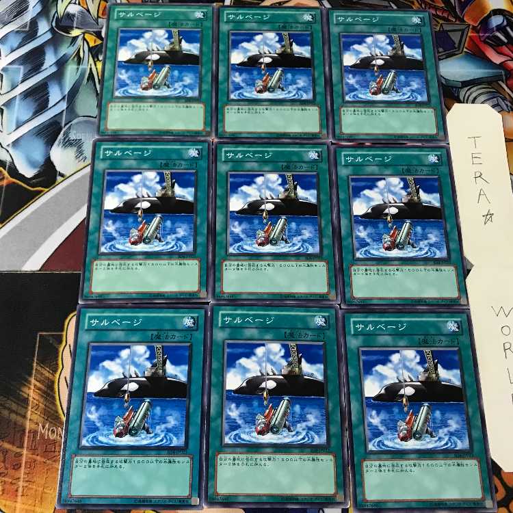 Salvage SD4 1 Normal 9-card set Tera