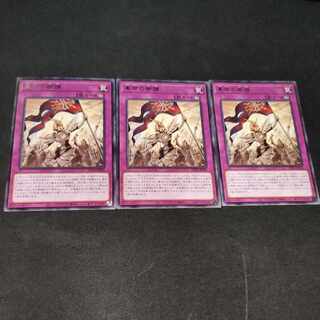 革命の御旗 レア JP026