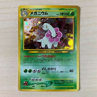 メガニウム　旧裏キラ