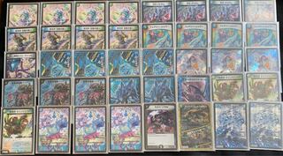 アナカラーシャコガイル