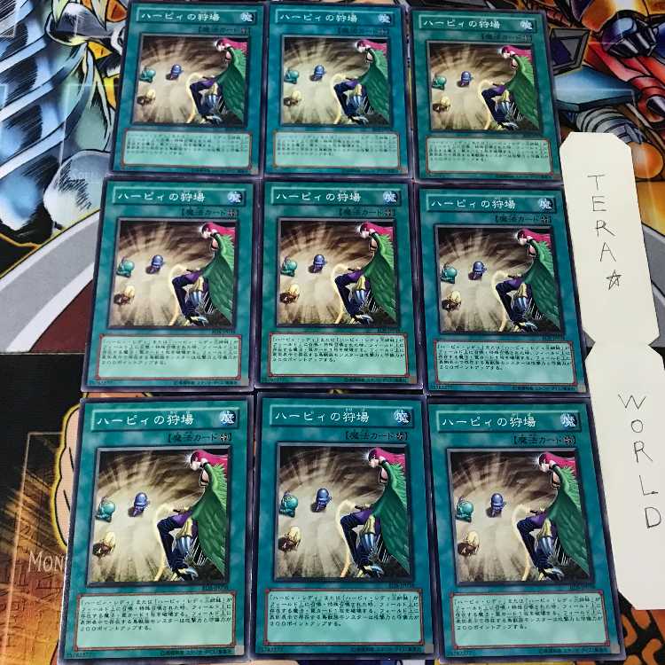 ハーピィの狩場 RDS 2 ノーマル 9枚セット てら