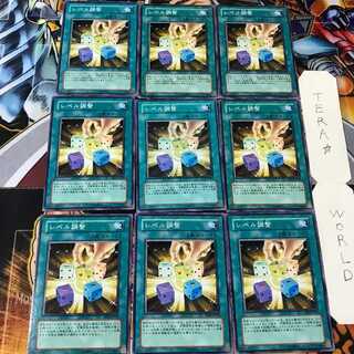 レベル調整 EEN 2 ノーマル 9枚セット てら