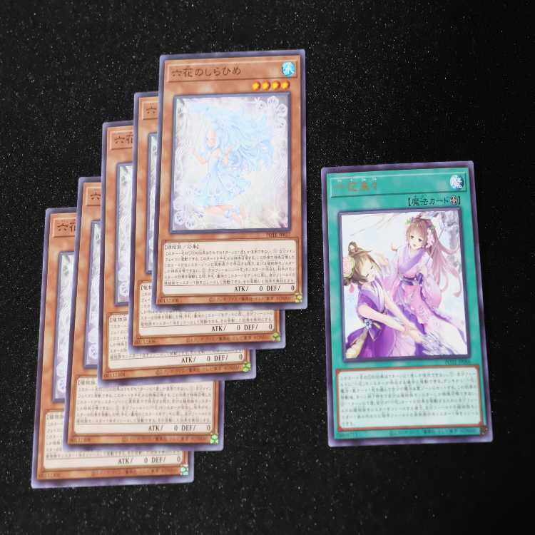 Rikka Petal, Rokka Rai Set