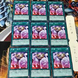 炎舞-「揺光」 JOTL 1 ノーマル 9枚セット てら