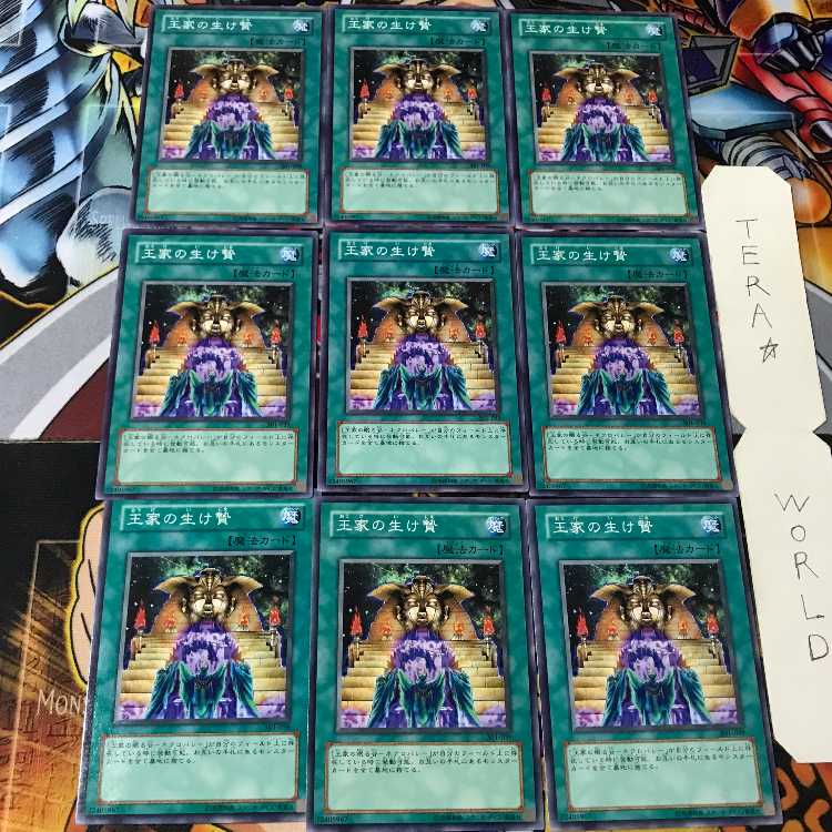 Royal Tribute 301 1 Normal, set of 9 Tera.
