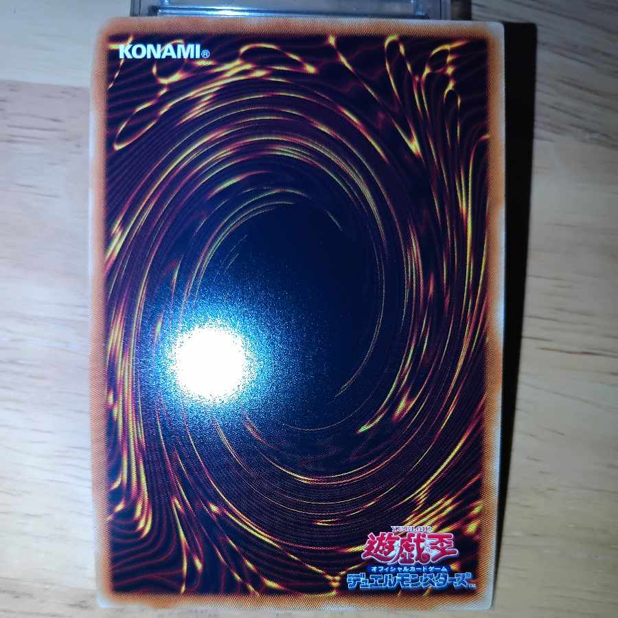 Piri Reis Map Super Rare JP023