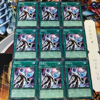 Soul Absorption 306 1 Normal, set of 9 Tera.