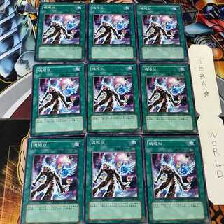 Soul Absorption 306 2 Normal, set of 9 Tera.