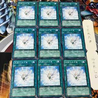 至高の木の実 RGBT 1 ノーマル 9枚セット てら