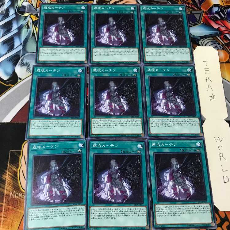 遮攻カーテン RIRA 2 ノーマル 9枚セット てら