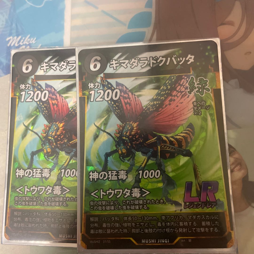 yellow-edged grasshopper (Nephotettix cincticeps)