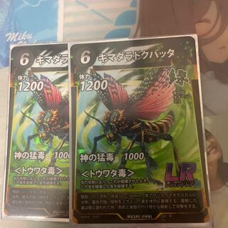 yellow-edged grasshopper (Nephotettix cincticeps)